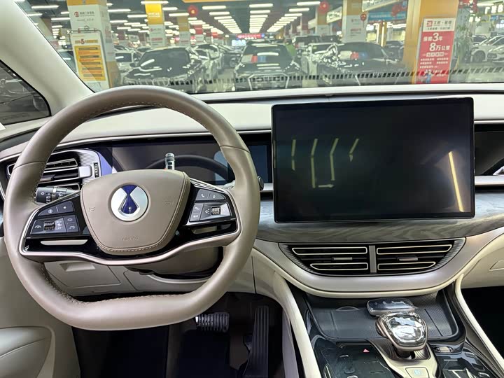 Фото 9 - Denza D9