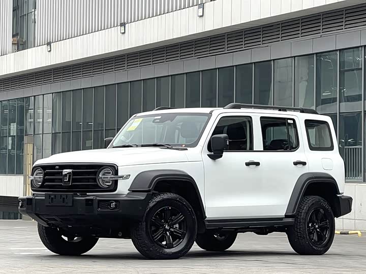 Фото 1 - Tank 300