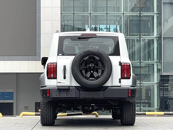 Фото 4 - Tank 300