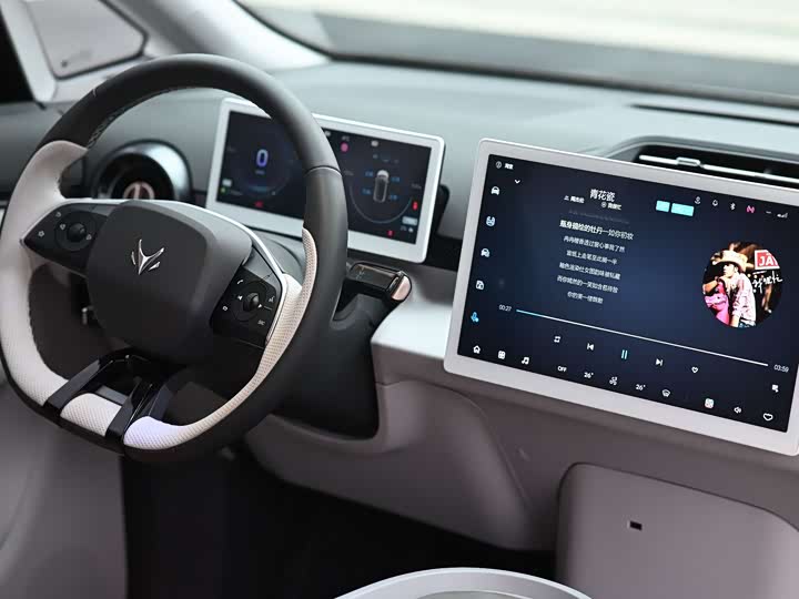 Фото 6 - BAIC Arcfox Kaola