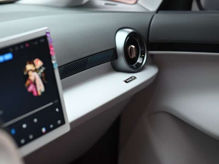 Фото 9 - BAIC Arcfox Kaola