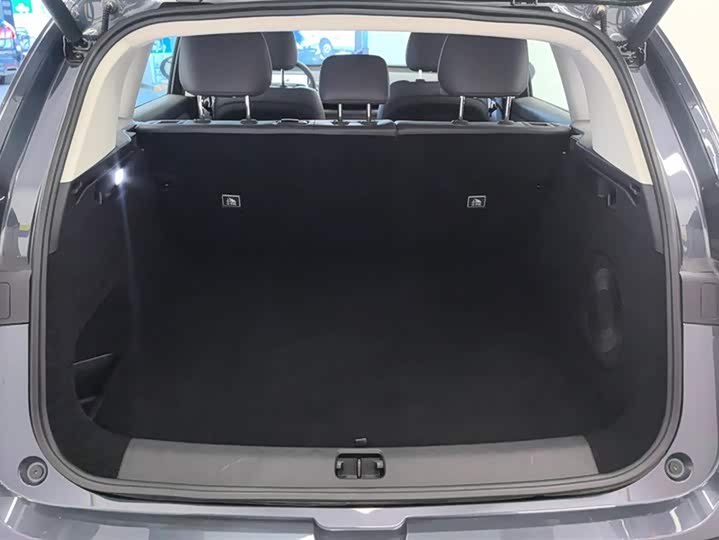 Фото 4 - Leapmotor C10