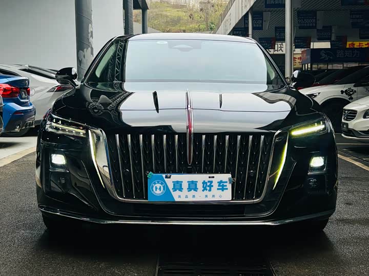 Фото 2 - Hongqi H5