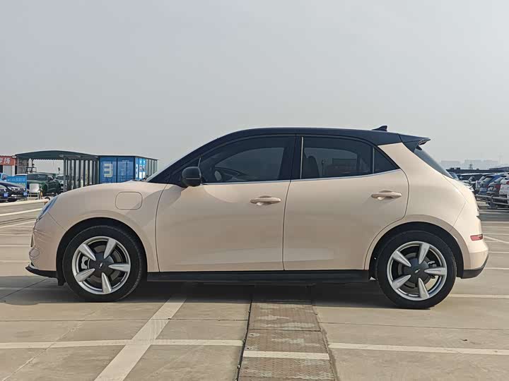 Фото 8 - Ora Good Cat (03)