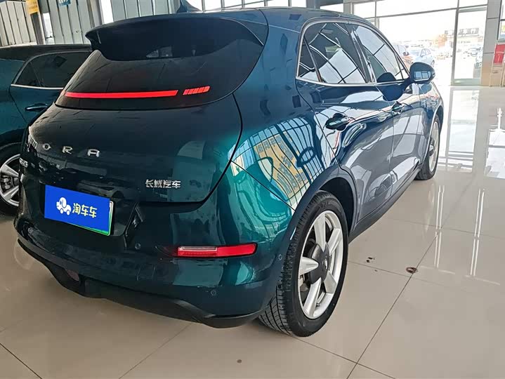 Фото 3 - Ora Good Cat (03)