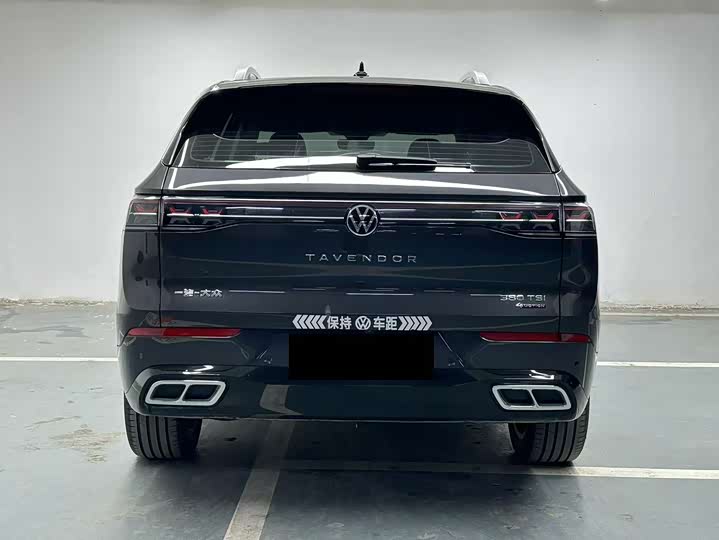 Фото 8 - Volkswagen Tavendor