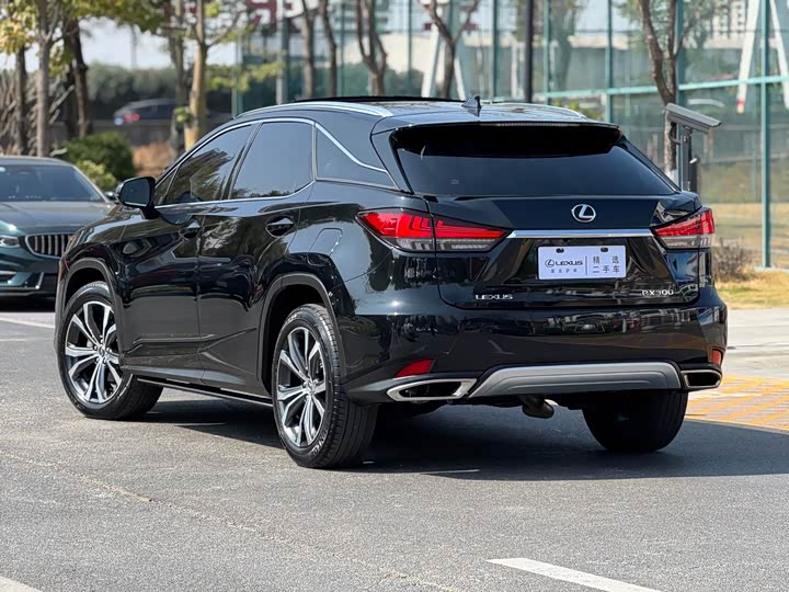 Фото 4 - Lexus RX