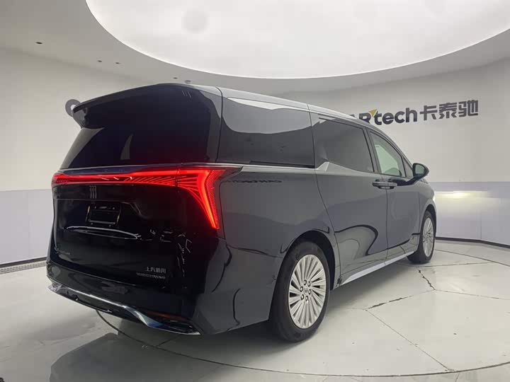 Фото 5 - Buick GL8 Century