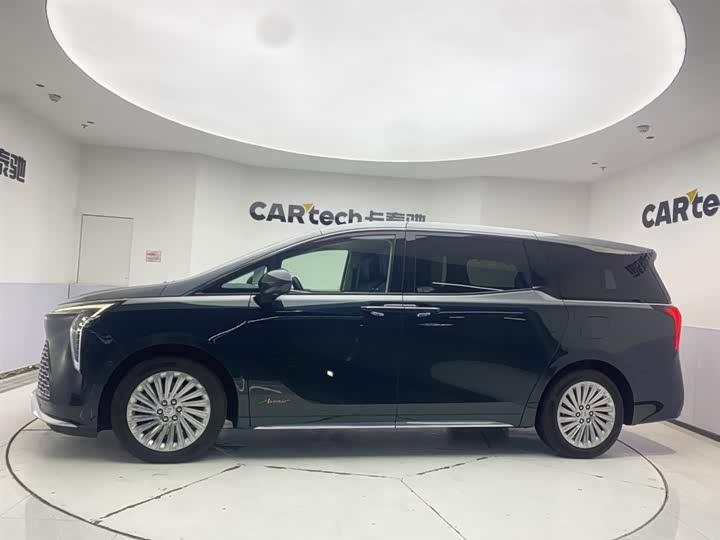 Фото 8 - Buick GL8 Century