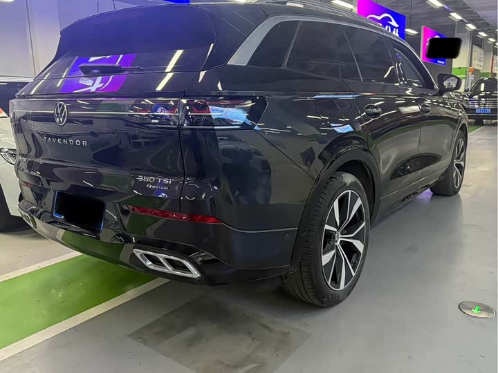 Фото 9 - Volkswagen Tavendor