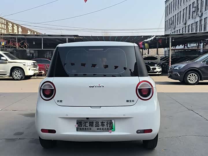 Фото 4 - Changan Qiyuan (Nevo) Lumin