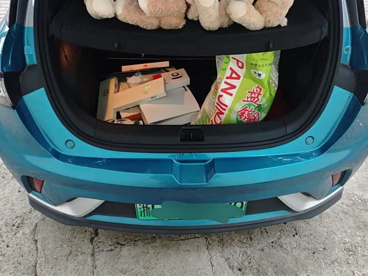 Фото 4 - BYD Dolphin