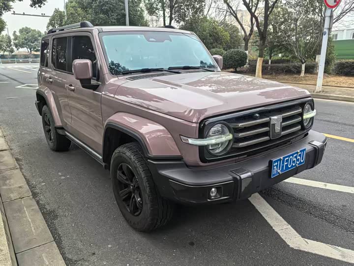 Фото 2 - Tank 300