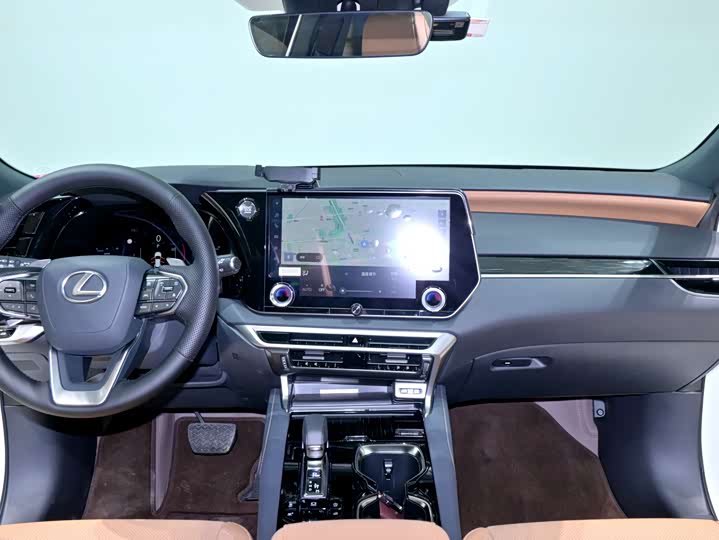 Фото 7 - Lexus RX