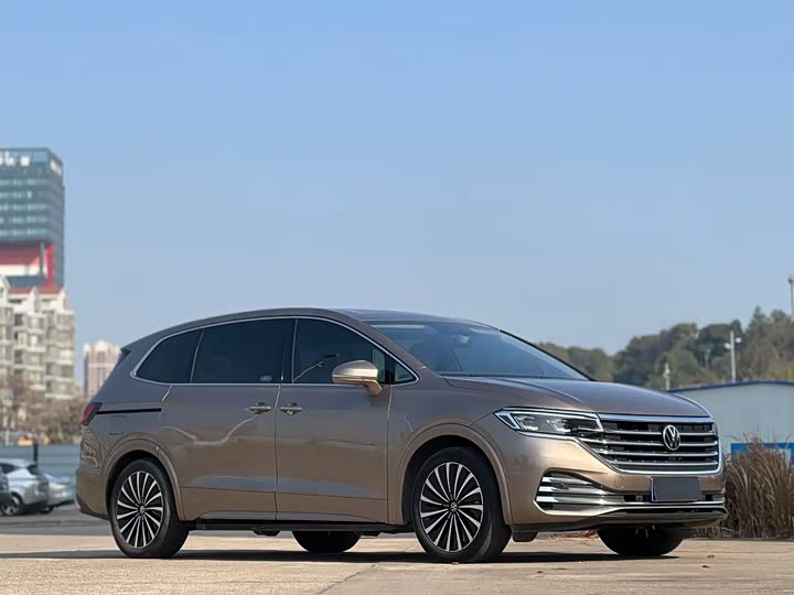 Фото 3 - Volkswagen Viloran