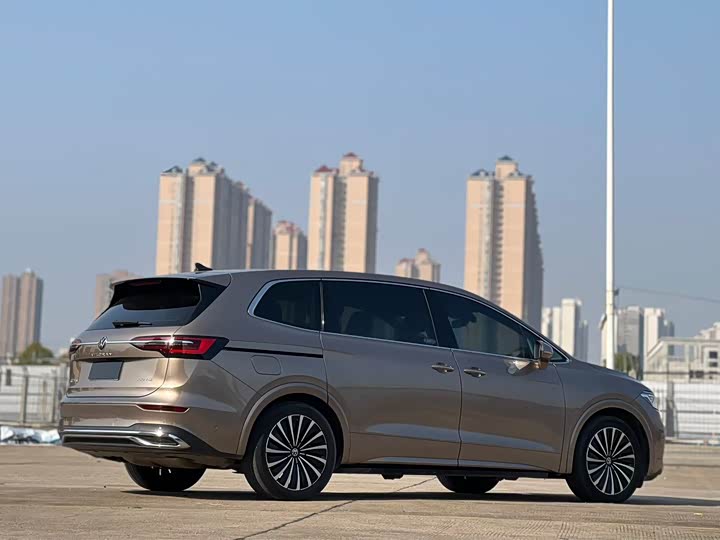 Фото 9 - Volkswagen Viloran