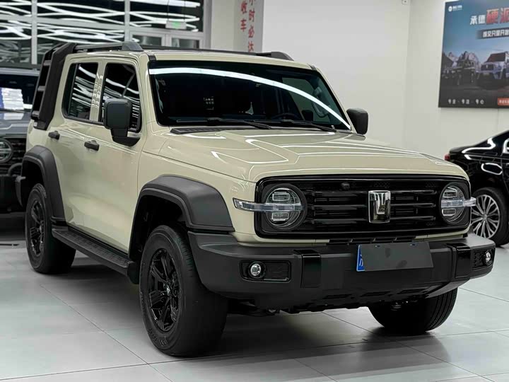 Фото 3 - Tank 300