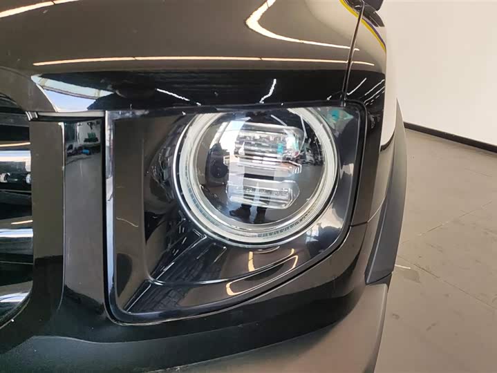 Фото 5 - Haval Dargo