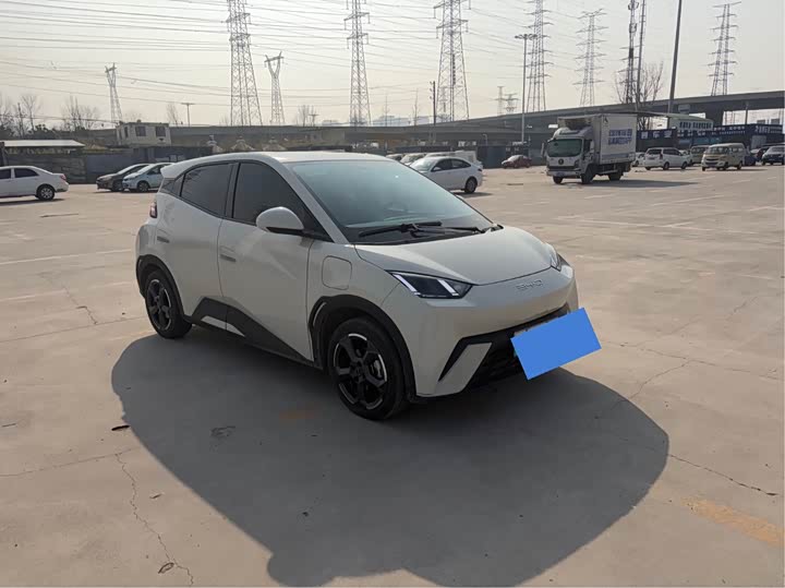 Фото 1 - BYD Seagull