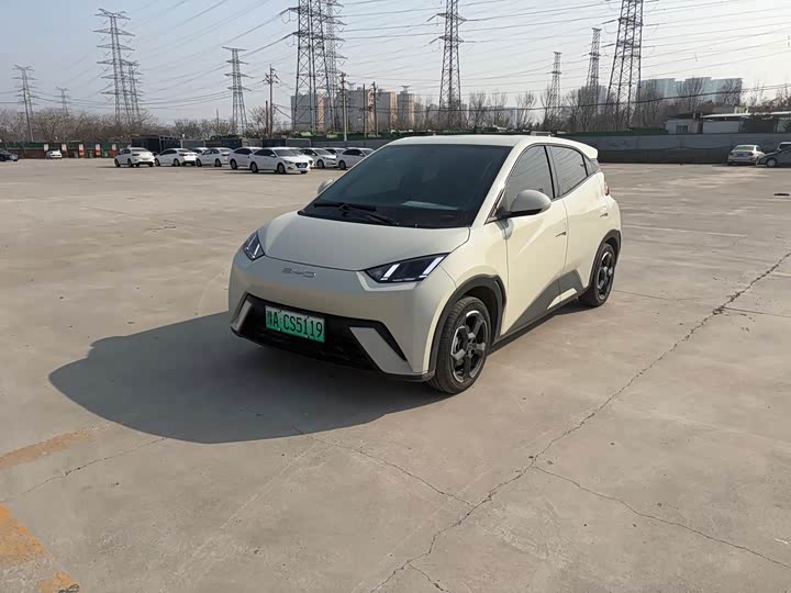 Фото 3 - BYD Seagull