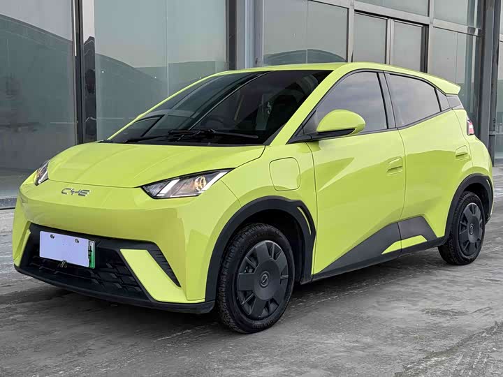 Фото 1 - BYD Seagull