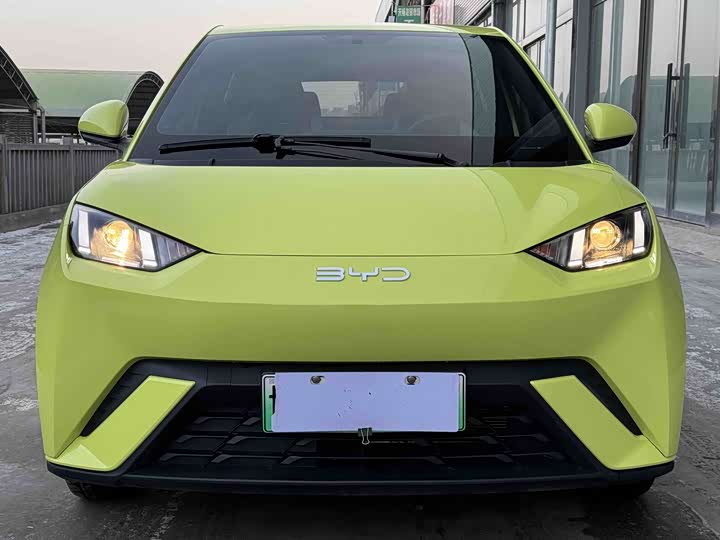 Фото 2 - BYD Seagull