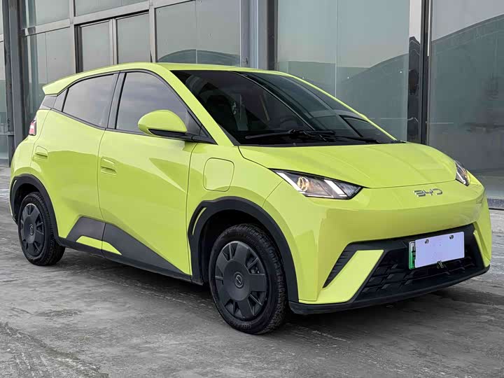 Фото 3 - BYD Seagull