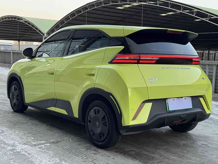 Фото 4 - BYD Seagull