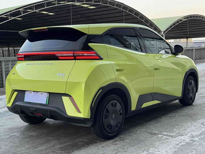 Фото 6 - BYD Seagull