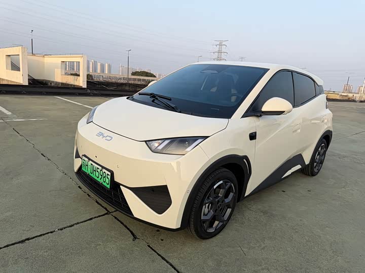 Фото 1 - BYD Seagull