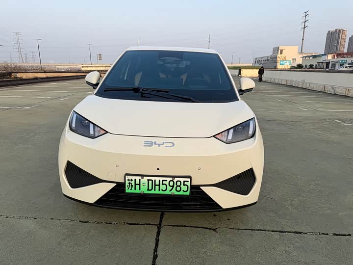 Фото 2 - BYD Seagull