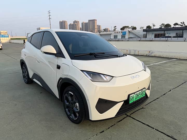 Фото 3 - BYD Seagull