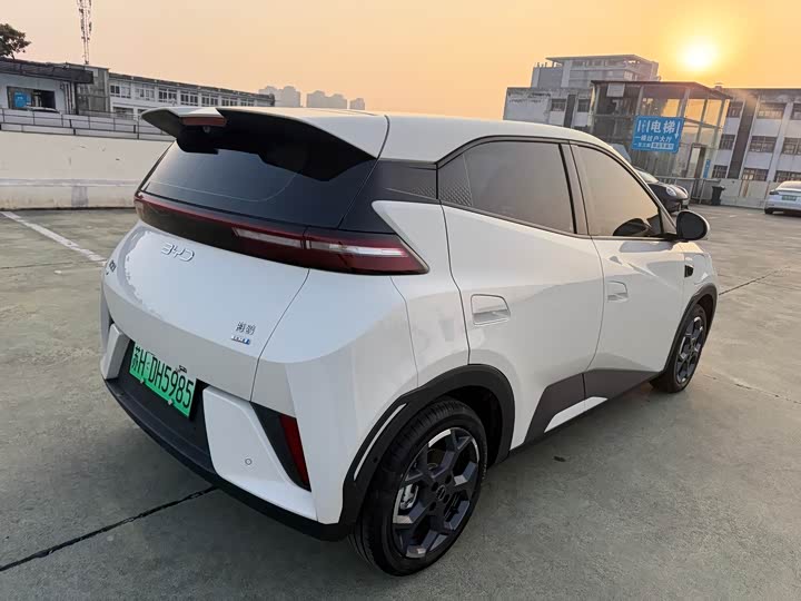 Фото 6 - BYD Seagull