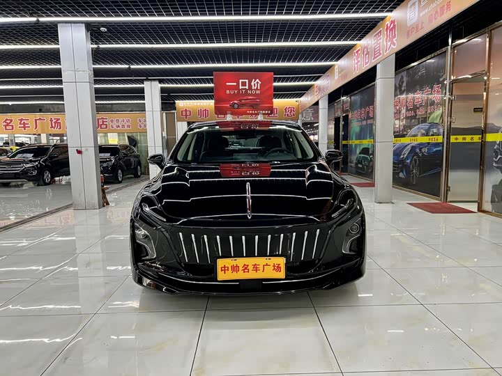 Фото 2 - Hongqi E-QM5