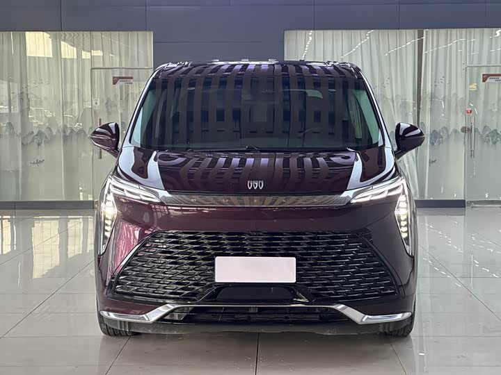 Фото 2 - Buick GL8 Century