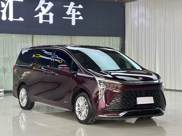 Фото 3 - Buick GL8 Century