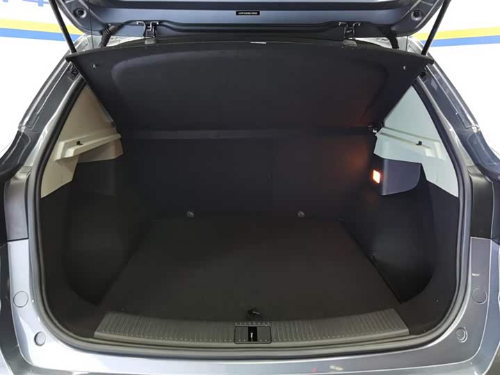 Фото 4 - Roewe RX3