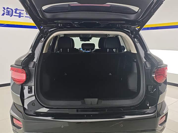 Фото 4 - Haval H-Dog