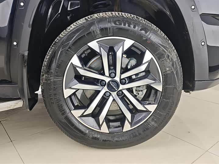 Фото 6 - Haval H-Dog