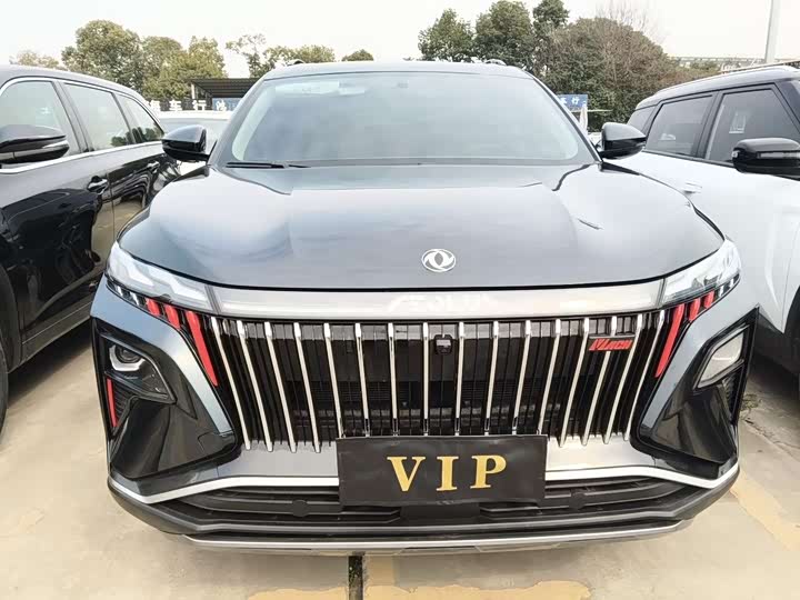 Фото 2 - Dongfeng Aeolus Haoji