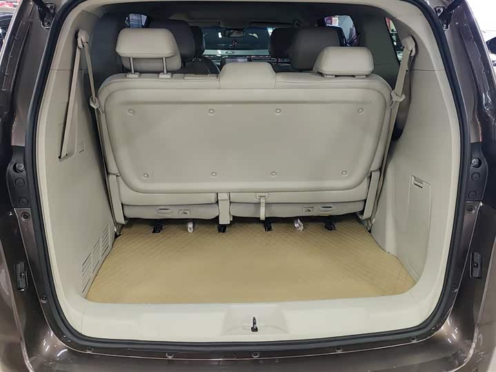 Фото 4 - Buick GL8 ES