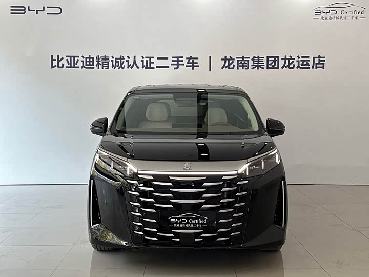 Фото 2 - BYD Xia