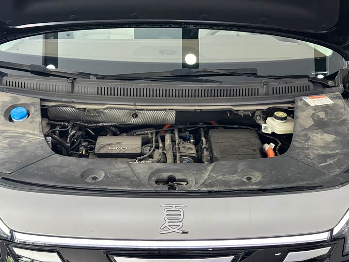 Фото 4 - BYD Xia