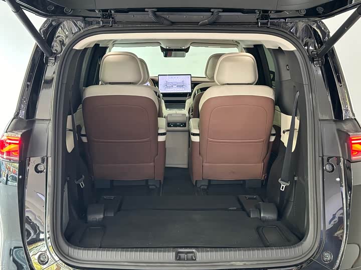 Фото 8 - BYD Xia