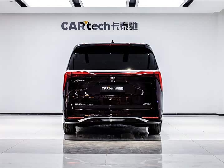 Фото 6 - Buick GL8 Century