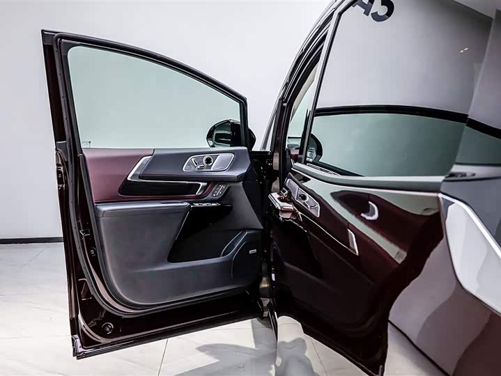 Фото 9 - Buick GL8 Century