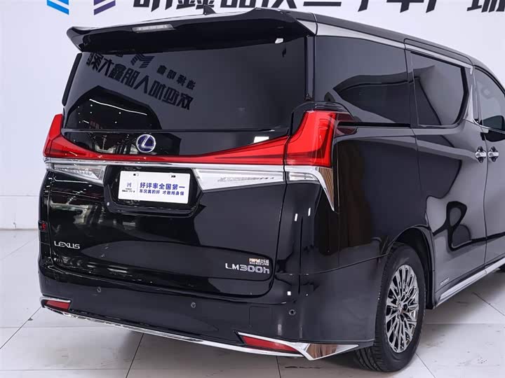 Фото 8 - Lexus LM
