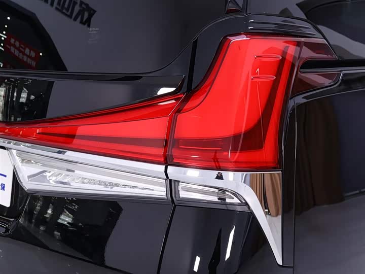 Фото 9 - Lexus LM