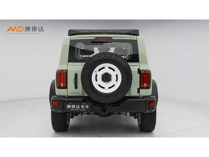 Фото 4 - Tank 300