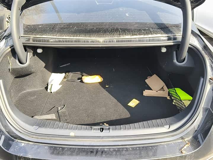 Фото 4 - Hongqi H5